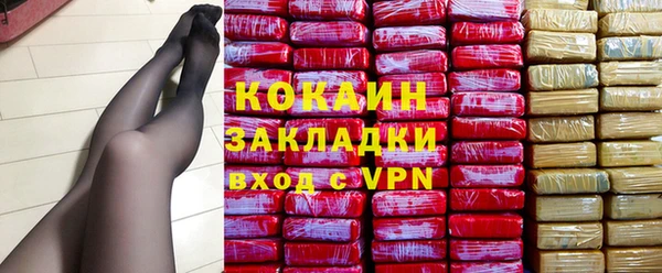 дживик Мегион
