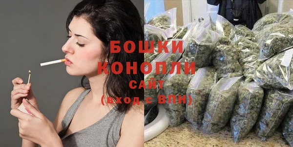 дживик Мегион