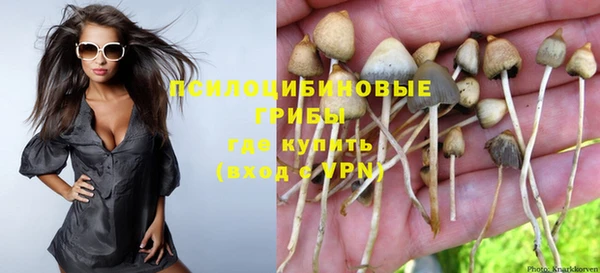 соль курить ск Медногорск