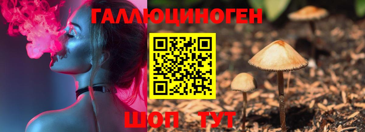 Пятигорск  Галлюциногенные грибы Magic Shrooms  Вход с VPN 